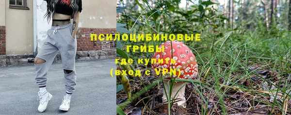 ПСИЛОЦИБИНОВЫЕ ГРИБЫ Белоозёрский