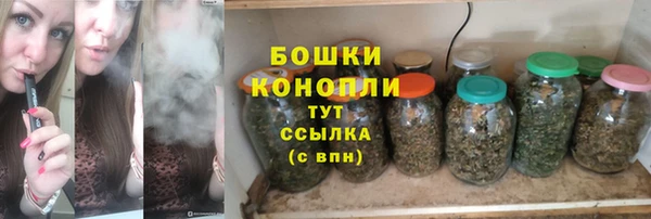 ПСИЛОЦИБИНОВЫЕ ГРИБЫ Белоозёрский