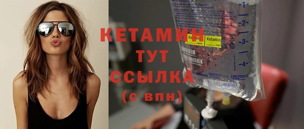 шишки Покачи