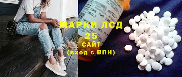 ПСИЛОЦИБИНОВЫЕ ГРИБЫ Белоозёрский