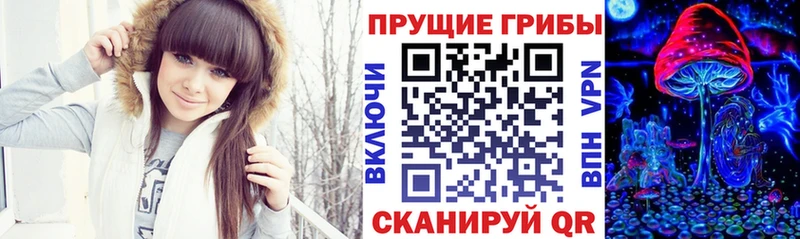 Псилоцибиновые грибы мицелий  Макаров 