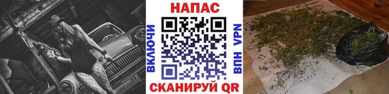 Шишки марихуана марихуана  магазин продажи   Макаров 